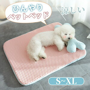 �y�X���������߁z�y�b�g�x�b�h �� �ėp �⊴ ���p �N�b�V���� �� �x�b�h ���^�� �����΍� �L �N�b�V���� �y�b�g�p�N�b�V���� ���L���p ���p�x�b�h ���ԂƂ� �~�z�c �L�p �Q�� �ʋC ����~�� 