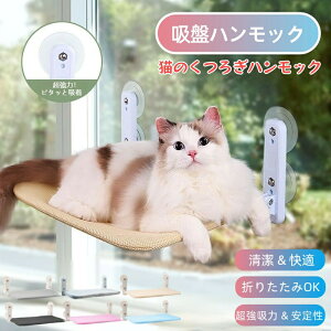 yP2{!11/11܂ŁzL nbN Lxbh Lp LnEX ybg 􂦂 Lxbh tȒP  P[W zՎ 