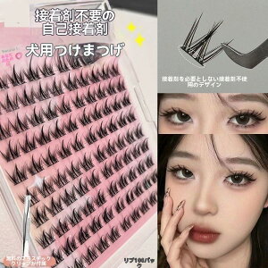 yP2{I3227~3162~ 11/27 01:59܂Łz܂ p ڒܕsv ̂sv \tg R  ACCN ACbV  sZbgt ܂  i`