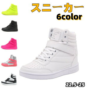 yP5{I4688~4454~ 11/15 23:59܂ŁzXj[J[  Xj[J[ _bhXj[J[ JWA fB[X \[Xj[J[ {[\[ bV