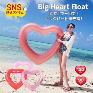 yP5{I2588~2459~ 11/15 23:59܂Łz l  W{  90cm 120cm n[g qǂ 傫TCY 킢 t[g v[ C rbO LL r[`ACe qp lp