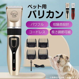 yP5{I3168~3010~ 11/15 23:59܂Łz oJ ybgp L g~O ZtJbg Nbp[