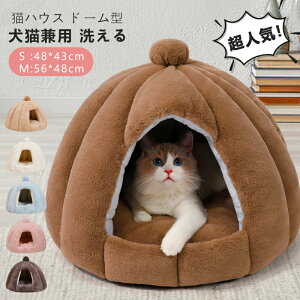 yX߁zLnEX h[^ ybgxbh H~p ybgnEX LbgnEX gnEX 薰 ΍ ybgpi ybgp 킢 NbV ybgpQ yb