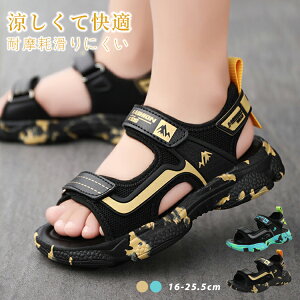 yP2{I3610~3538~ 11/27 01:59܂ŁzX|[cT_ j̎q LbY r[`T_ w w qC Eɂ}WbNe[v y ɂ ʋC K qp T_ V[ 