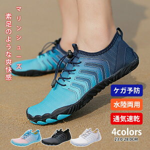 yX߁z}V[Y Y fB[X p L  ANAV[Y Vm[PO ANAV[Y xAtbg v[  C   }V[Y 