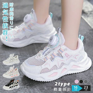 yX߁z^C V[Y _CV[Y 16cmE23cm jOV[Y ȒP Xj[J[ _C ʉ ʊw LbY qC qp qǂp ǂ jO  b