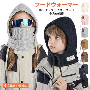 yX߁zLbY t[hEH[}[ lbNEH[}[ h h ی {A t[X  tFCX}XN  @\I ̌^lbNEH[}[ }XN  ʉ 