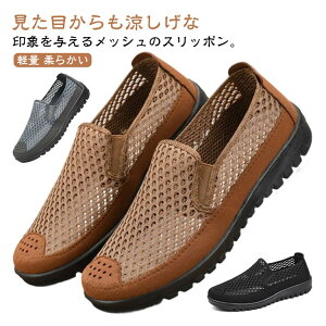 y1685~1651~ P2!zbVXj[J[ Y Xb| V[Y y _炩 L ؂ ₷ bVpvX rWlXV[Y rWlXT_ Ȃ  ʋ 