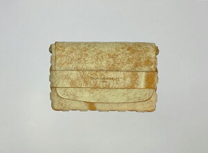 THOROUGHBRACE C^Av҂ݍ݃J[hP[X