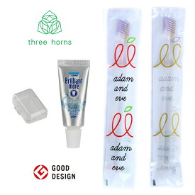 楽天市場 歯ブラシ コンパクト 旅行用の通販