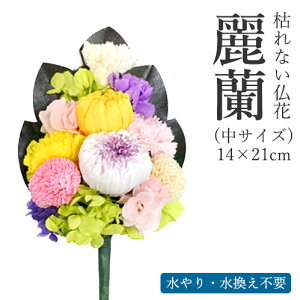 ͂Ȃԁ@헖iꂢj TCY  vU[uht[ ͂Ȃ sv  ފ ފ ފ  vU[uht[ r dp   O 