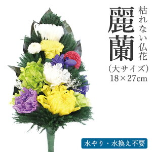 ͂Ȃԁ@헖iꂢj TCY [  vU[uht[ ͂Ȃ sv  ފ ފ ފ  vU[uht[ r @ d dp   O