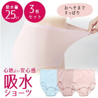 【しっかり伸びる！軽失禁対応の安心シームレスショーツ】3色セット 尿漏れパンツ 女性用 失禁パンツ シ…