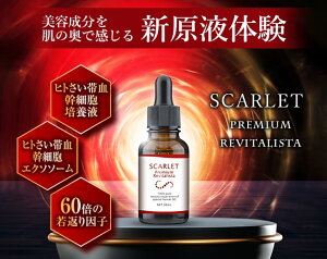 y60{̎ԂqŏՌ̃nzx100̃qgזE et GN\\[ V  n N΍ GCWOPA XLPA 40 50 60