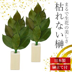 国産 枯れないプリザーブド榊 榊立て付 榊 丹波産 高級椿葉 プリザーブドフラワー 仏花 長持ち お手入れ簡単 神棚 ヒノキの専用榊縦付