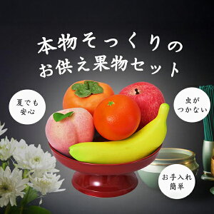 ŒZzB yƔAʕ5_Zbgz ʕ tFCN 荇킹 Zbg @ @v  l\ d  Hi tFCN Tv Ȃ  茳{ `