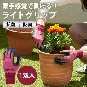 yw抴ô܂܁IzCgObv  STCY bh 1o / ׂƂNN R CgObv fB[X  RۖhL [NO[u