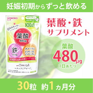 _11/11!!N[|ōő2000~OFF^DTvg t_ S Dw DP 30 r^~ JVE Tvg / a }}X^C }^jeB`[W