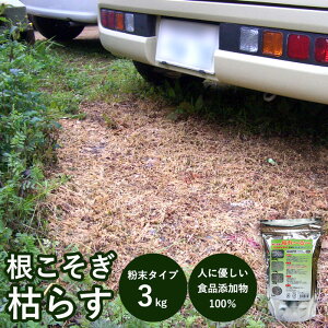 _11/15!!3000~ȏ5%OFF^  ͂`` [  HiY100 _nܕsgp  K[fjO  _ _  ^Cv _ ʒ lɗD lR