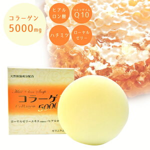 _9/24!!N[|ōő2000~OFF^ŒZzB yEZxR[Q5000mgzzΌ Ō`  R[Q ݂͂ A qA_ ێ 邨 ь { / }ChNA