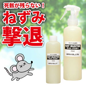 _11/11!!N[|ōő2000~OFF^ySS̓VR̃`JŃlY~ɃTiIzlY~쏜 ˂݊ bgoX^[ Xv[^Cv 250ml×2{Zbg lY~쏜  O lY