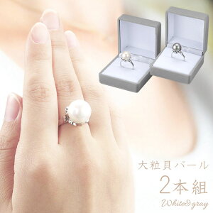 _11/27!!ubNtCf[ő2000OFF^ŒZzB w O fB[X 2{g P[X t p[  Vv  Ǝ w 񎟉  {