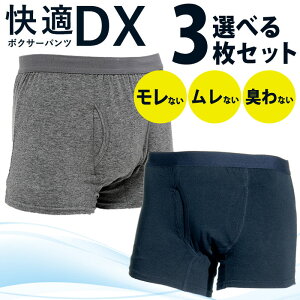 _10/30!!3000~ȏ5%OFF^y[Iz3Zbg ARpc փpc jp Y {NT[pc OJ AR 傢R zpc lCr[ O[ M L LL L z Mtg v