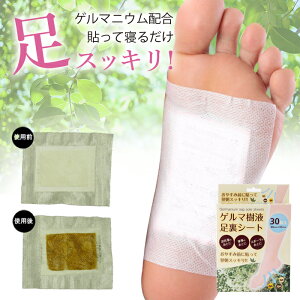 ŒZzB y\ĐQ邾AXbLzV[g tV[g 30 fgbNX Vp XbL   Q}jE tbgPA d X|[c ӂ͂ ނ݃P