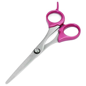 _10/27!!N[|ōő2000~OFF^yElグ̍nT~z΂ JbgnT~ ZtJbg ̖ Y fB[X { ƒp  wAJbg ؂ U