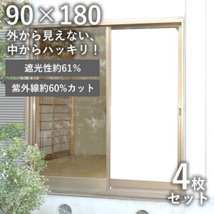 窓 ガラス フィルム Diy 工具の人気商品 通販 価格比較 価格 Com