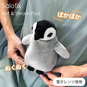 Salofix zbgX`[pbh Aj} yM [ JC  ʂ K    ߂ C   ې dqW W  X`[ |J|J I