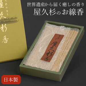 _11/11!!N[|ōő2000~OFF^ŒZzB yv×ʂґȂz{ɂAɂ  p p  i  Mtg     @