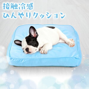 yG邾łЂẲKNbVzybg ⊴NbV Ђ ybgNbV ybgp ₽  ڐG⊴ 60×50cm 傫 ^ ^  Ck ėpxbh