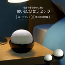 ＼7/10迄!!クーポンで最大2000円OFF／【お手入れ不要！水を入れるだけ♪】加湿器 自然 卓上 小型 自然気化式 おしゃれ 音がしない フィルターなし お手入れ簡単 2個セット 大・小セット 寝室 枕元 陶器 電源不要 節約 オフィス 寝室 上から給水　ECOセラミック加湿器