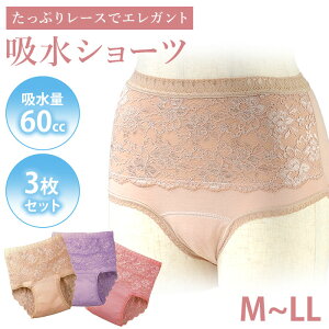 _10/30!!3000~ȏ5%OFF^y60ccΉ̃GKgȋzV[cz3Zbg ARpc p yփpc fB[X փpc zV[c A [ 100 z L SV