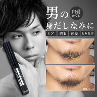 【オトコの身だしなみに】部分白髪染め 白髪隠し 白髪染め スティック ヒゲ 髭 眉毛 もみあげ 生え際 男…