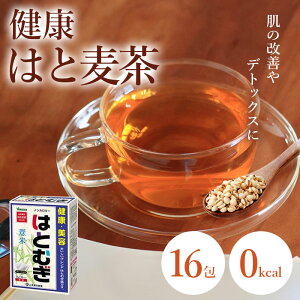 Y ngM ͂Ƃނ ng eB[obO 16  ̑ N e R{