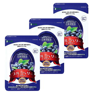 \10/27迄!!クーポンで最大2000円OFF/【1粒に25種の栄養成分!】3袋セット リフレ ブルーベリー&ルテイン 31粒 / 3か月分 大容量 目のサプリ ブルーベリー ルテイン サプリ サプリメント 眼精疲