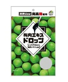 梅肉エキスドロップ 63g 梅 飴 特産品 和歌山 和歌山県産南高梅 沖縄県産黒糖 梅肉エキス 梅肉 キャンディ 飴 あめ 乾燥対策 南高梅 黒糖 スイーツ ギフト 人気 おやつ お菓子 持ち歩き 携帯 お祝い 健康 誕生日 出産 内祝い