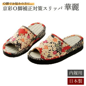 yIĐrKzor Xbp T_ orObY p  [V[Y  fB[X  Mtg v[g ̓ hV̓