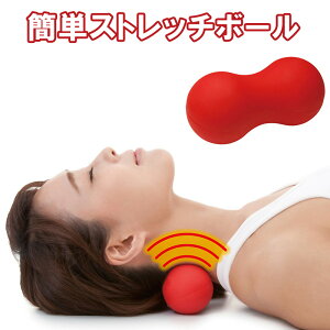 c{[ ȒPXgb`{[ bh q Xgb` {[ }bT[W    ӂ͂  w r