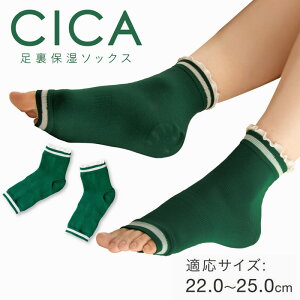 CICA �����ƕێ��\�b�N�X�y2025�V��z1311