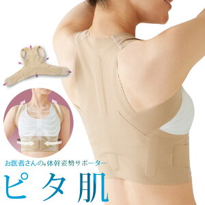 ҂̑̊pT|[^[ s^ {(̊T|[^[ pP)