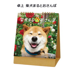 CL-394  Č܂Ƃ gCGbNX 2026N J_[