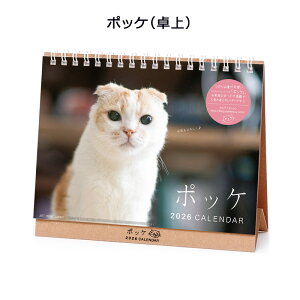 APJ-037 |bPij A[gvgWp 2026N J_[ 1000136887