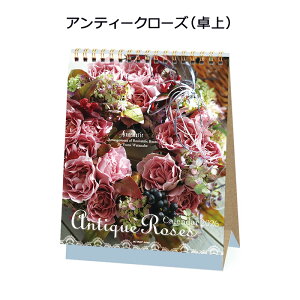 APJ-058 AeB[N[Yij A[gvgWp 2026N J_[ 1000136908