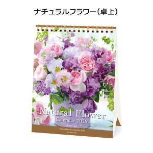 APJ-060 i`t[ij A[gvgWp 2026N J_[ 1000136910