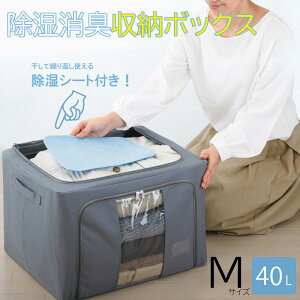 L[{bNX MTCY (ߗޗp ʂݗp  [ L [ ^X P[X)y2025Vz