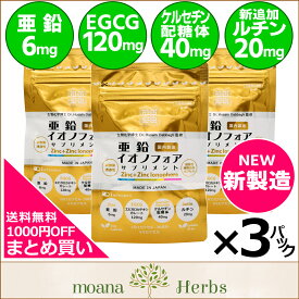 【まとめ買い3パックセット】送料無料『亜鉛イオノフォア』サプリメント（栄養機能食品）細胞内亜鉛の追加補給／ファイトケミカル（EGCG・ケルセチン配糖体）高配合＋ルチン／国内製造／メール便