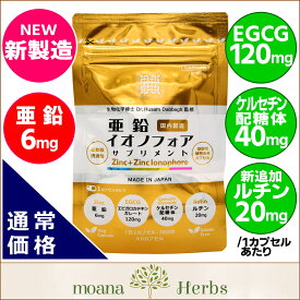 【単品】『亜鉛イオノフォア』サプリメント（栄養機能食品）細胞内亜鉛の補給に／ファイトケミカル（EGCG・ケルセチン配糖体）高配合＋ルチン／国内製造／メール便